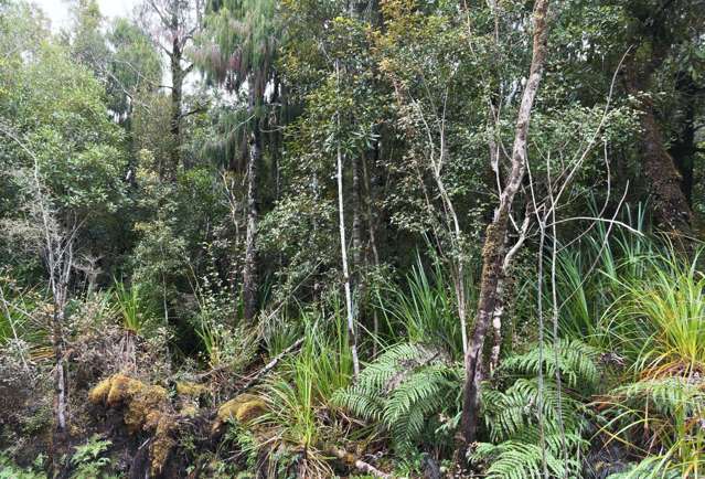 Lot 74 Sanctuary Place Kumara Junction_1