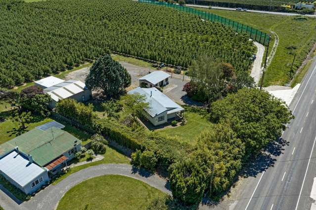 Orchard, shedding AND house on town boundary