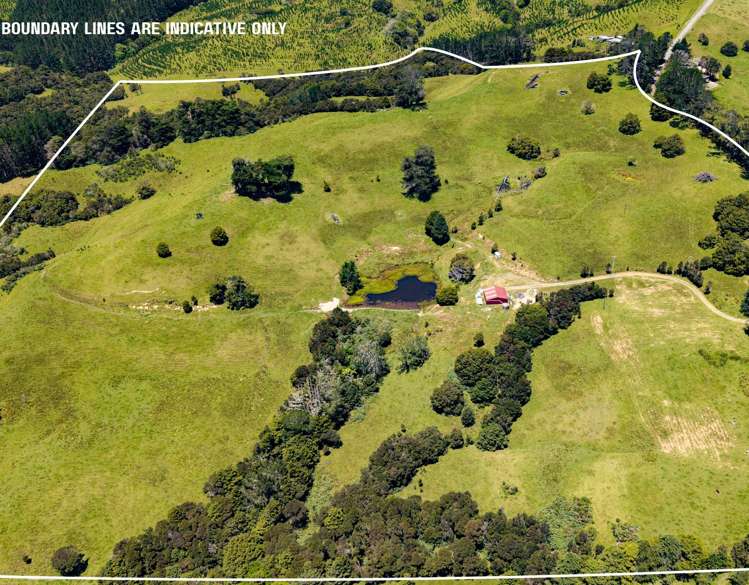 770 Fisher-Riley Road Kaingaroa_7