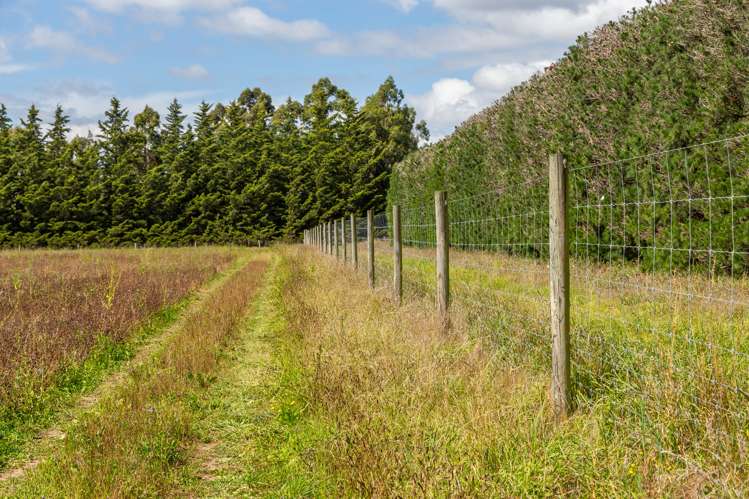 96 Rockwood Road Hororata_27