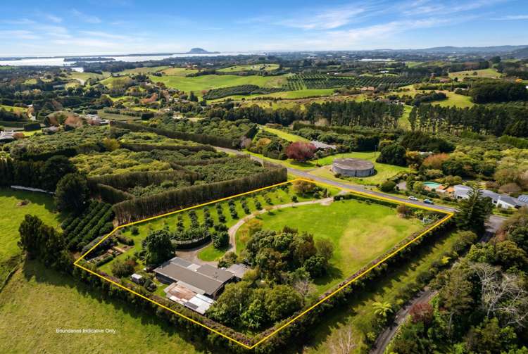 84 Plummer Road Whakamarama_0
