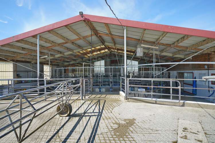 319 Mitchells Road Bankside_23