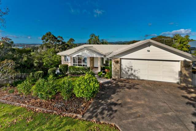 133 Awaroa Road Sunnyvale_1