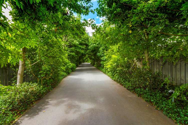 35 View Road Campbells Bay_6