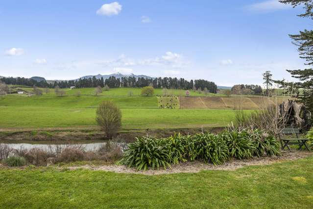 40 Parry Street Pirongia_3