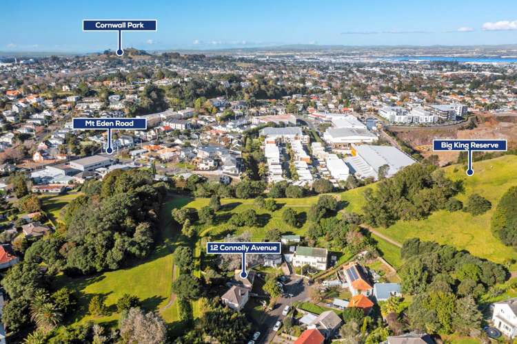 12 Connolly Avenue Mount Roskill_12