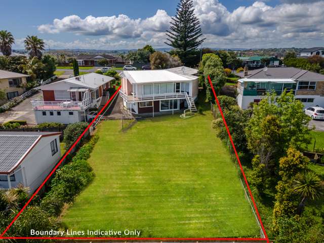 105 Bradbury Road Botany Downs_1