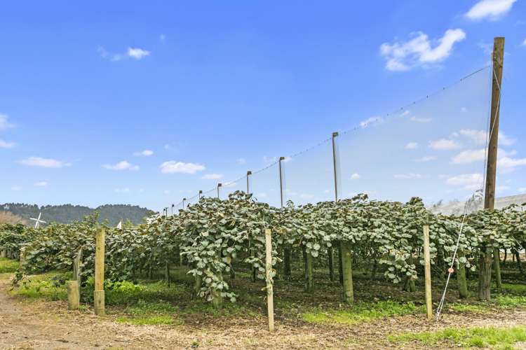 263 Waihi Beach Road Waihi_3