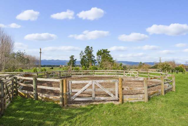 36 Painua Road Hokio Beach_4