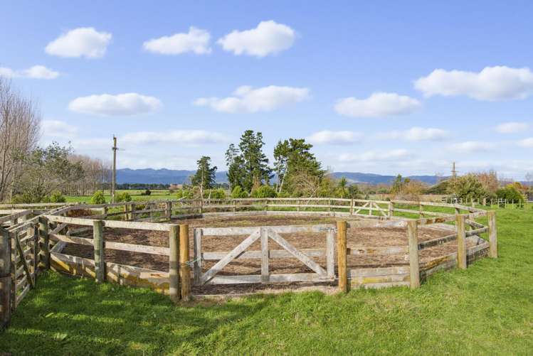 36 Painua Road Hokio Beach_4