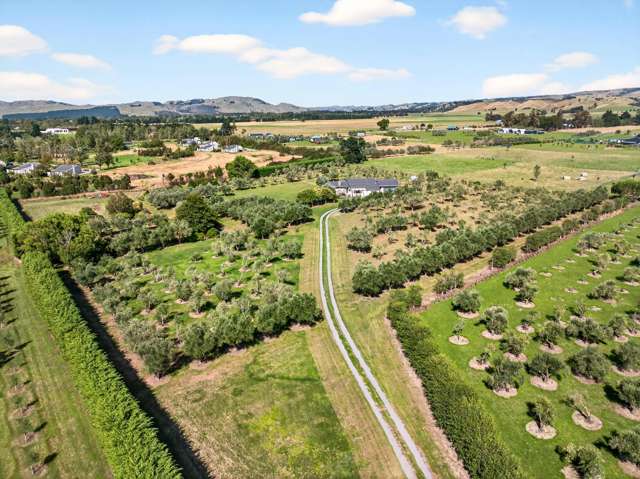 Country Living With Enduring Style In The Olive Grove