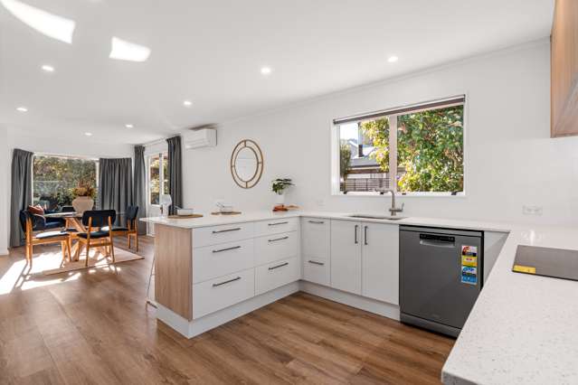 221 Nile Street Maitai_4