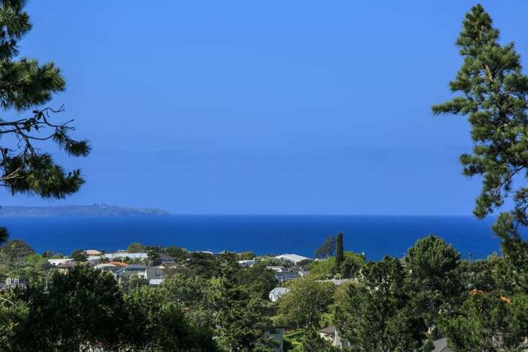 539d East Coast Road Browns Bay_1