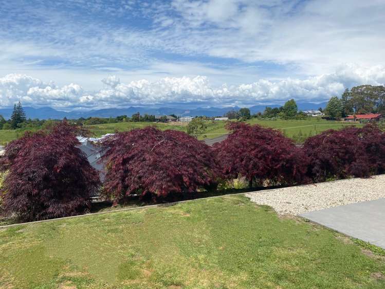 7 Koi Crescent Mapua_21