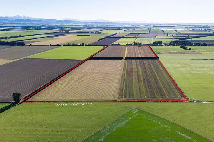 1234 Back Track Ashburton_7