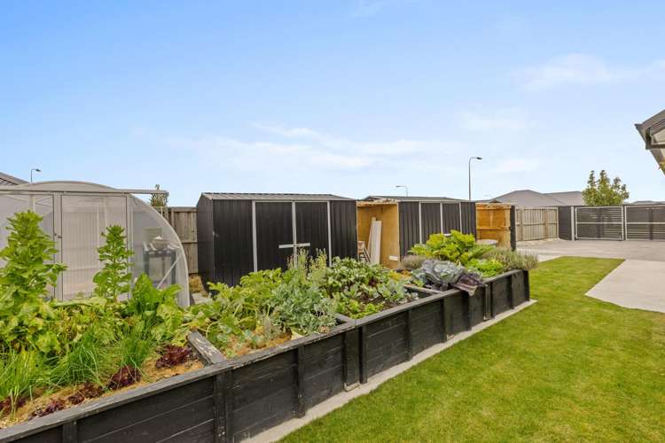 4 Shier Place Amberley_17