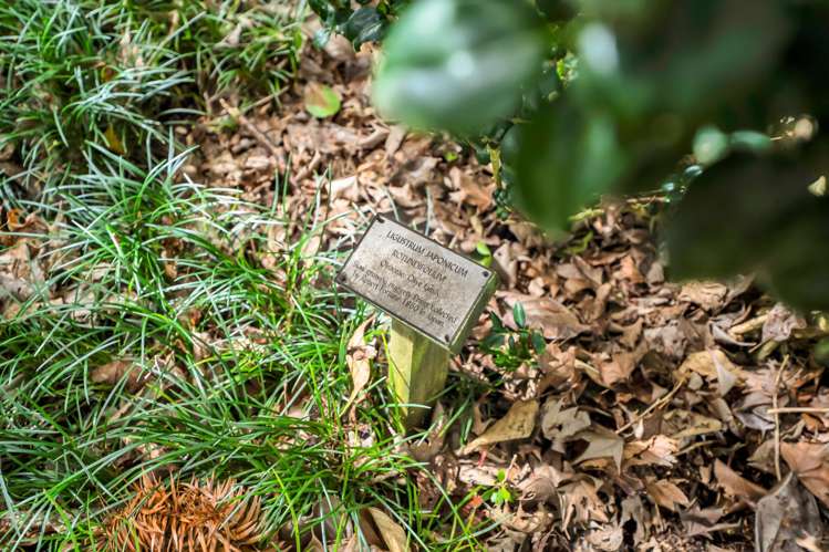 1405 South Road Kaitake_40