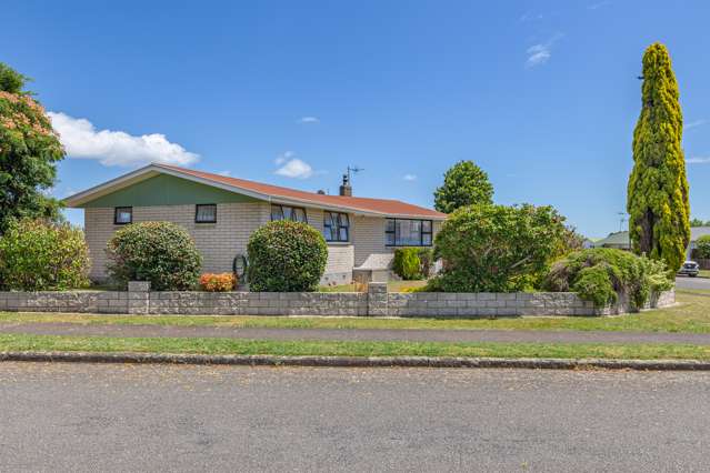 169 Tiro Tiro Road Levin_1