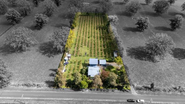 96 Berquist Road Ohaupo_22