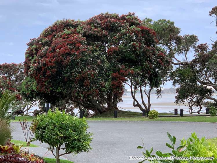 25 Citrus Place Mangawhai_1