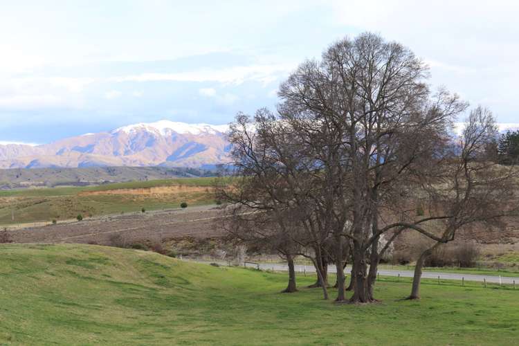 88 Crawford Hills Road Alexandra_12