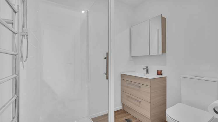 91 Olliviers Road Phillipstown_11