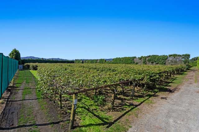 72 Angle Road Awakeri_4