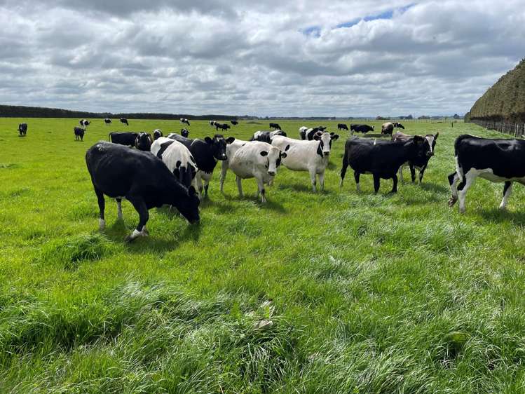 150 Spur Road West_0