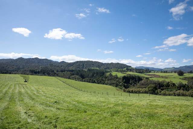 36 Swetman Road Waikino_3