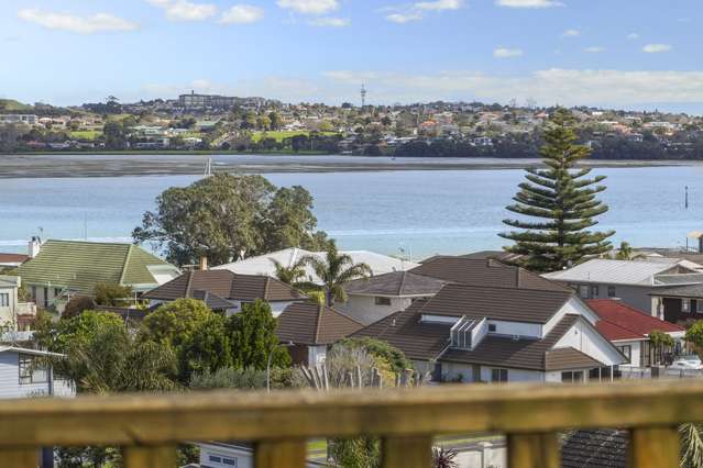 1/6 Basilton Close Bucklands Beach_4