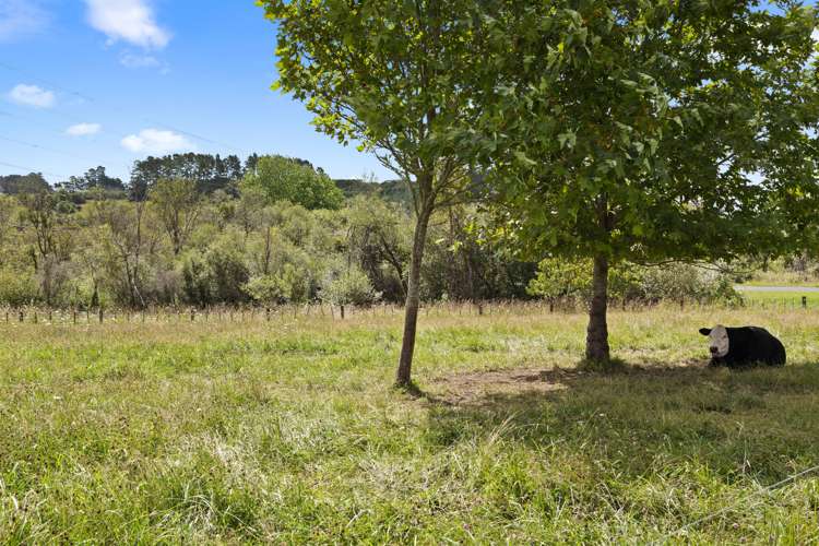 1113 Churchill Road Pukekawa_8