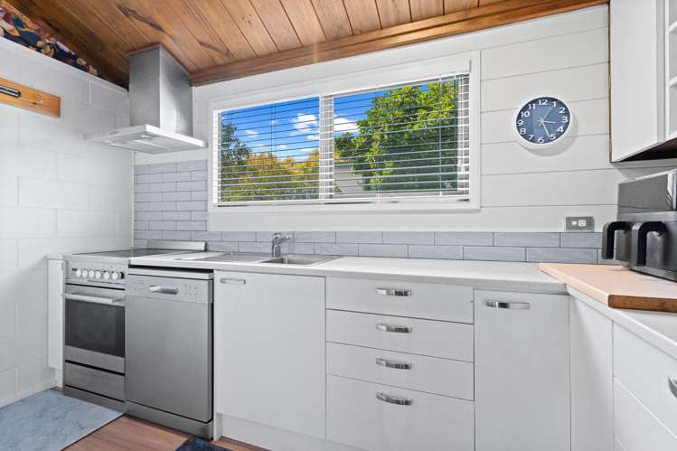 16 Matipo Street Eastbourne_8