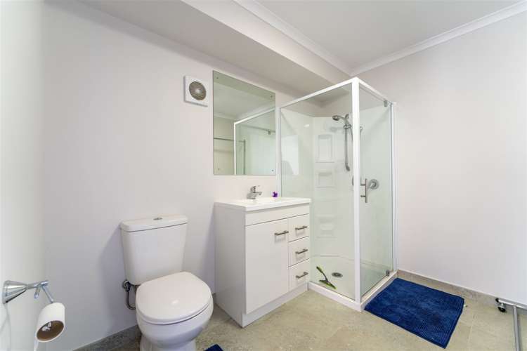 21 Hewlings Street Geraldine_16