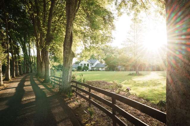 53 Poplar Lane Matangi_4