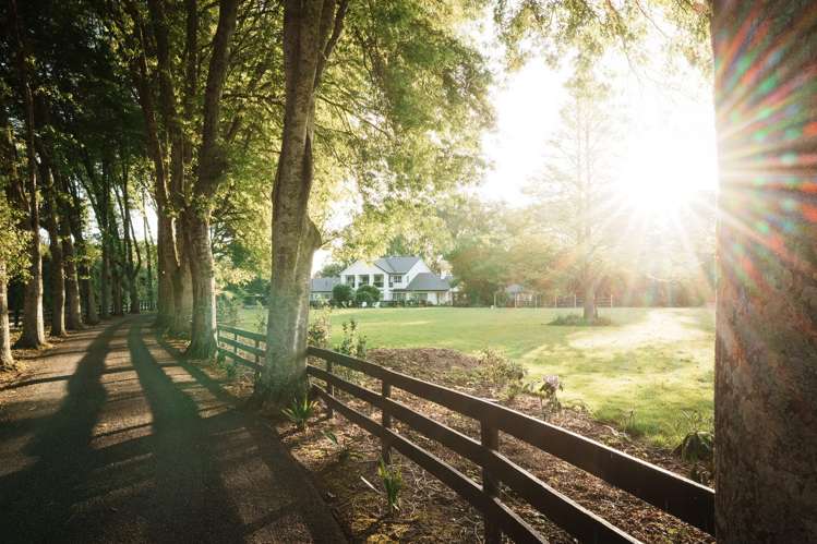 53 Poplar Lane Matangi_4