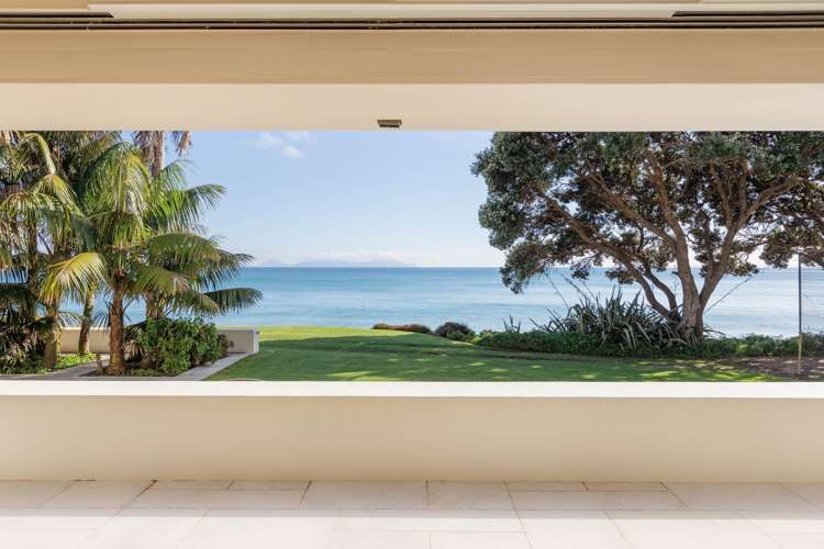 Andersons Cove Mangawhai_2