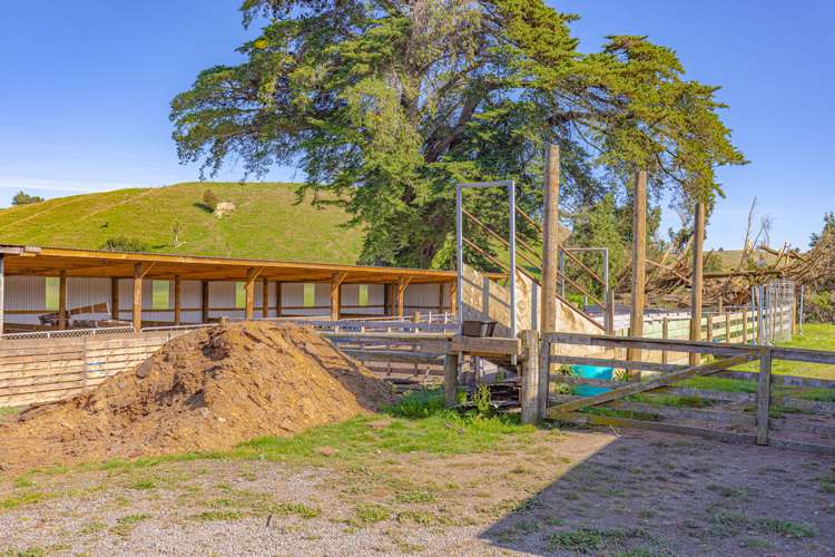 173 Leedstown Road Hunterville_8