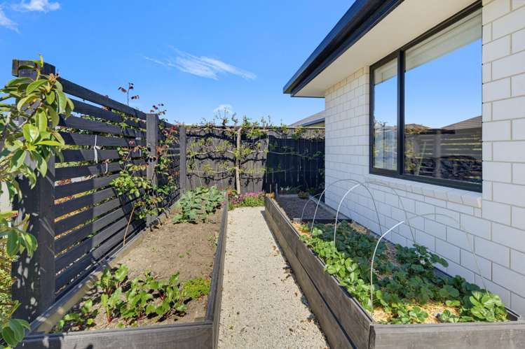 41 Ara Drive Redwoodtown_22