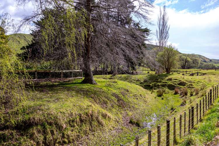 774 Westmere Road Carterton_17