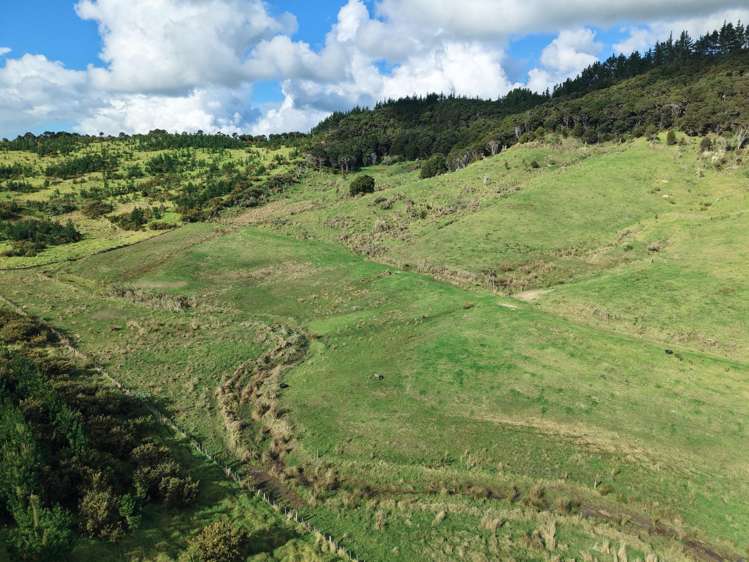 Lot 1-3 36 Te Moho Road Taipa_29