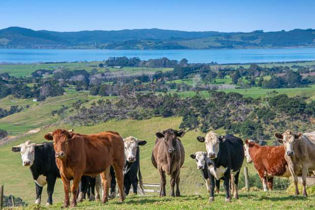 Discover your Rural Paradise in South Head