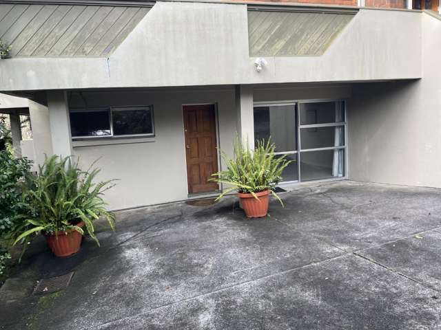 17B Chatfield Place Remuera_1