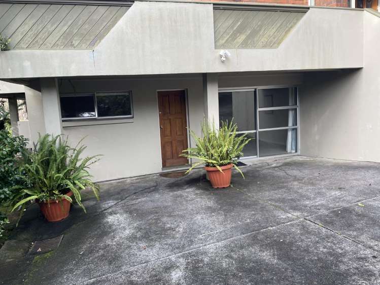17B Chatfield Place Remuera_1