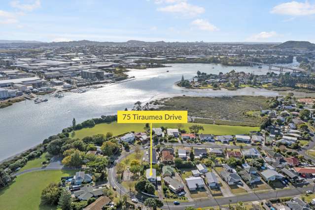 75 Tiraumea Drive Pakuranga_2