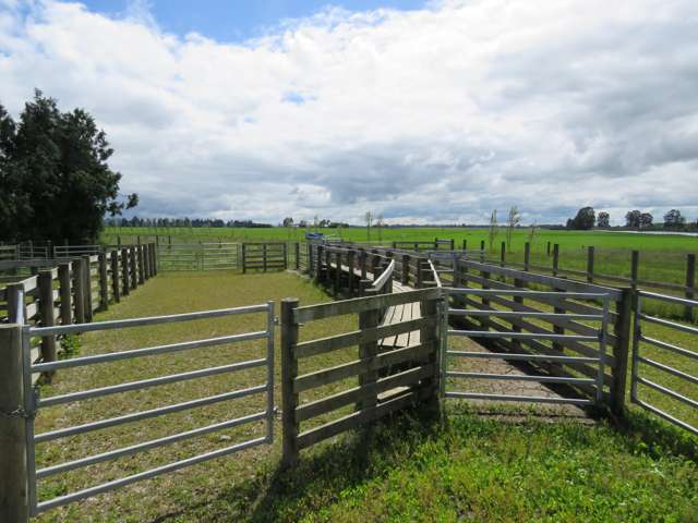 128 Flemings Road Methven_3