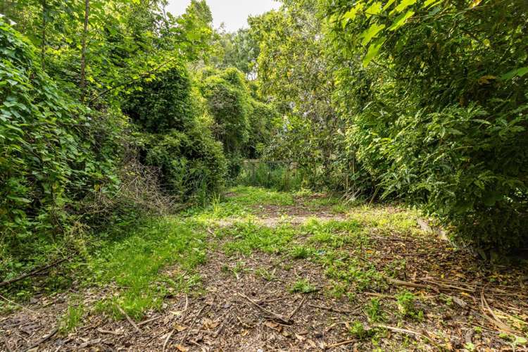 27a Rathmore Street West End_17