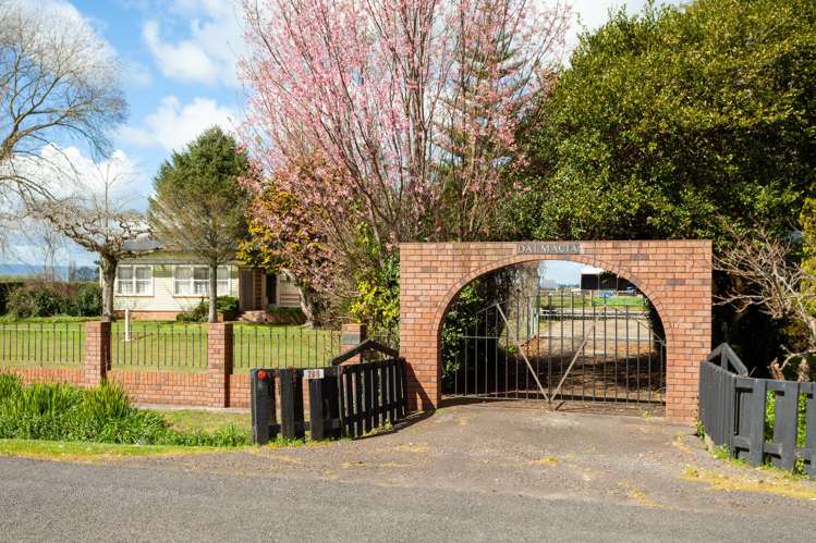 208 Diagonal Road Morrinsville_17