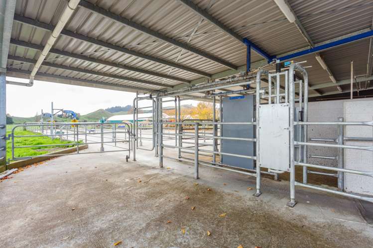 133 Flume Road Te Miro_10