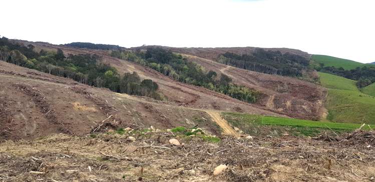 Karoro Creek Road Kaka Point_3