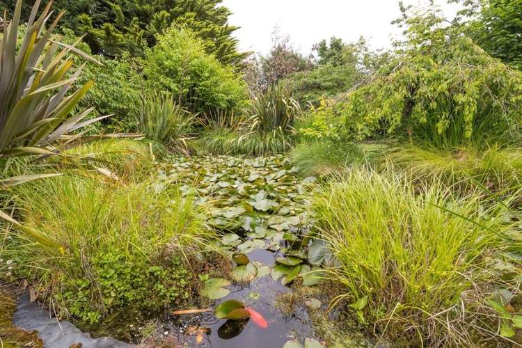 60 Painters Road Kirwee_14